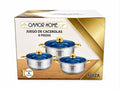 6 Piece Stainless Steel Cookware Set Glass Lids Gold Handles- SUIZA